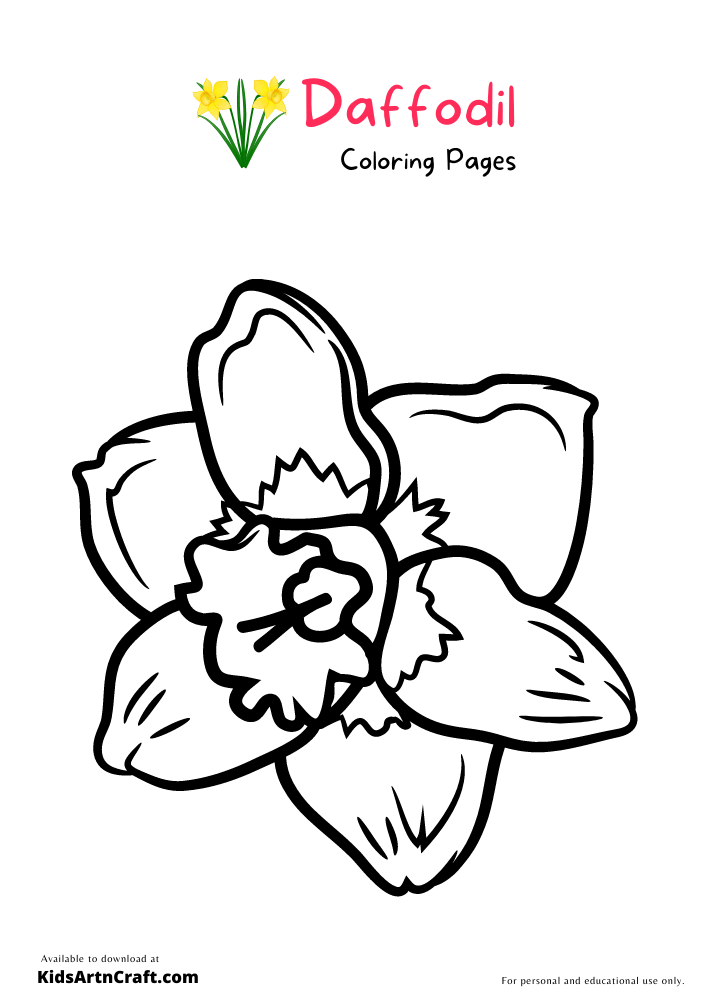 Daffodil coloring pages for kids â free printables