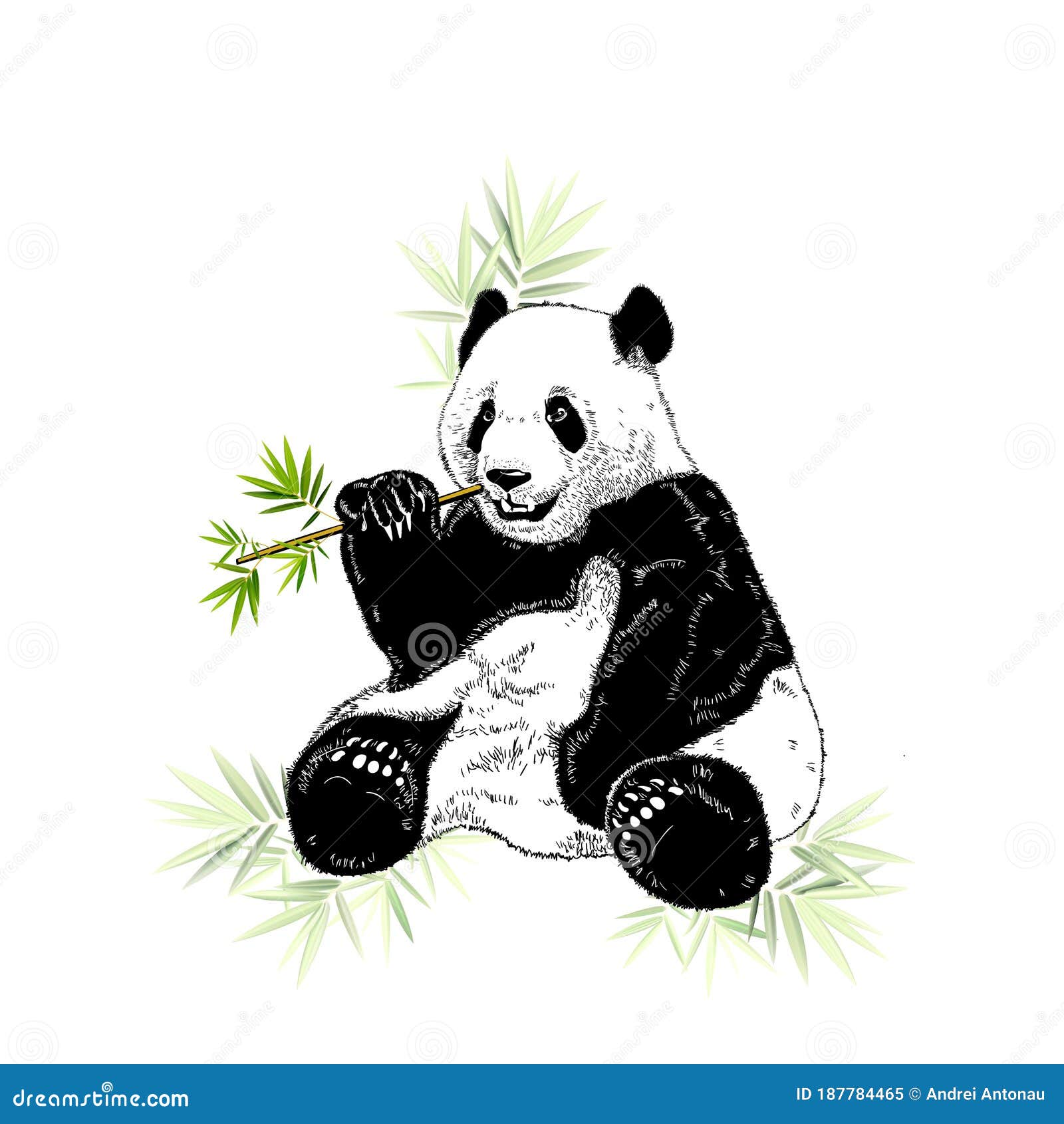 Panda stock vector illustration of calligraphy