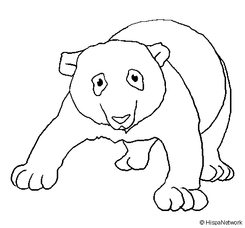 Dibujo de oso panda para colorear