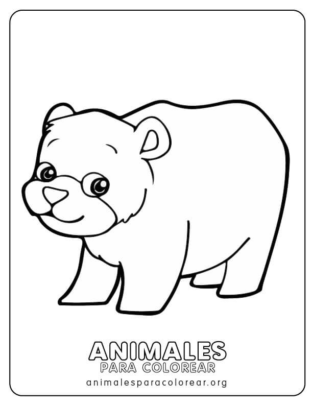Osos para colorear descargar imprimir y colorear gratis