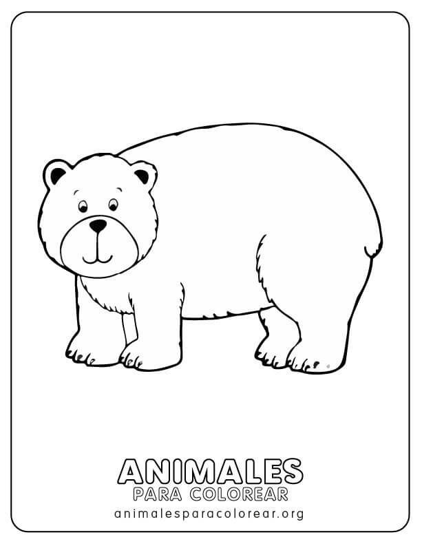 Osos para colorear descargar imprimir y colorear gratis