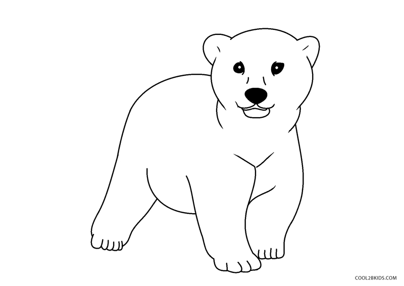 Free printable bear coloring pages for kids