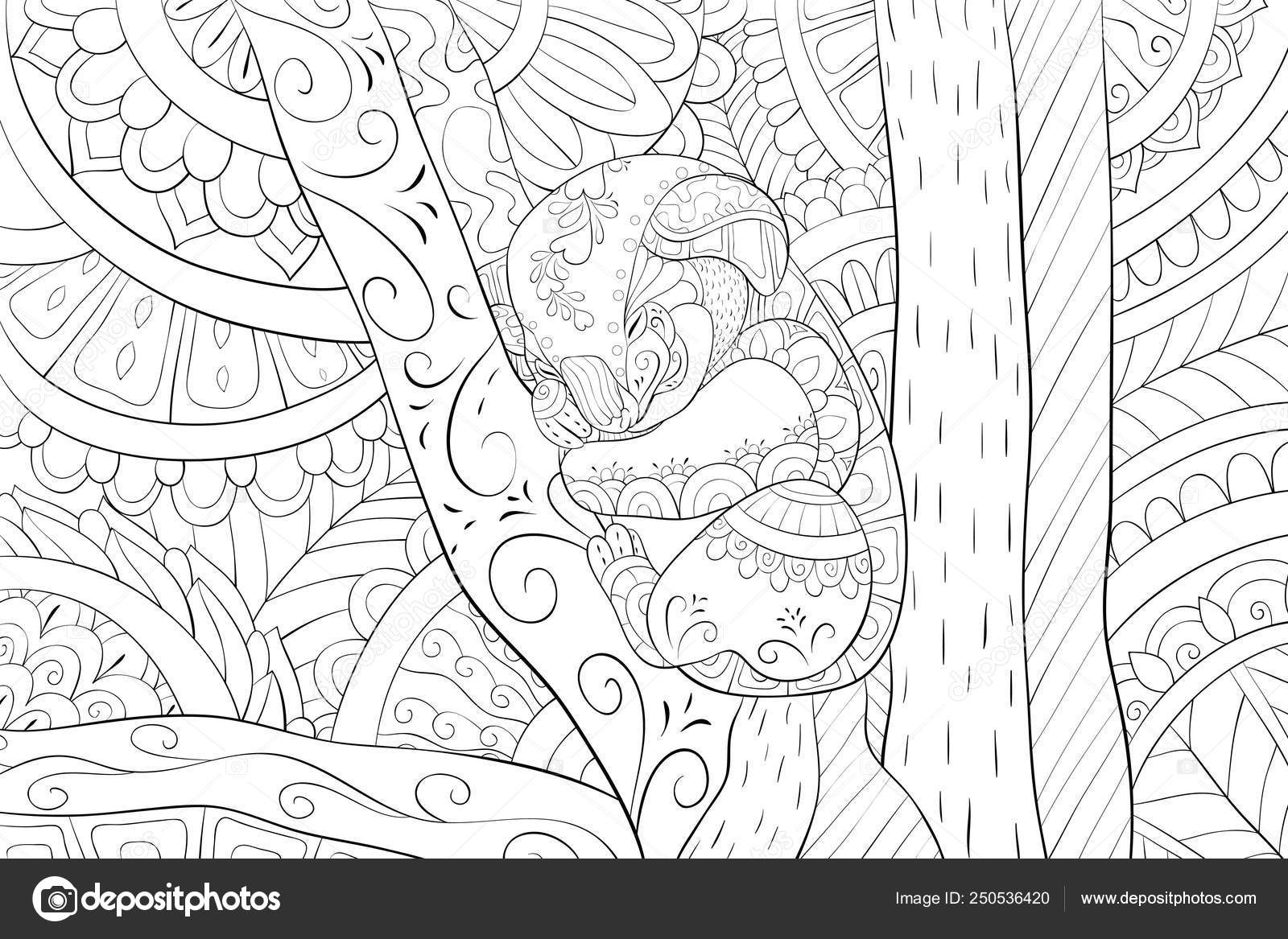 Libro para colorear para adultos pãgina un lindo oso koala en el ãrbol para relajarse vector de stock por nonuzza