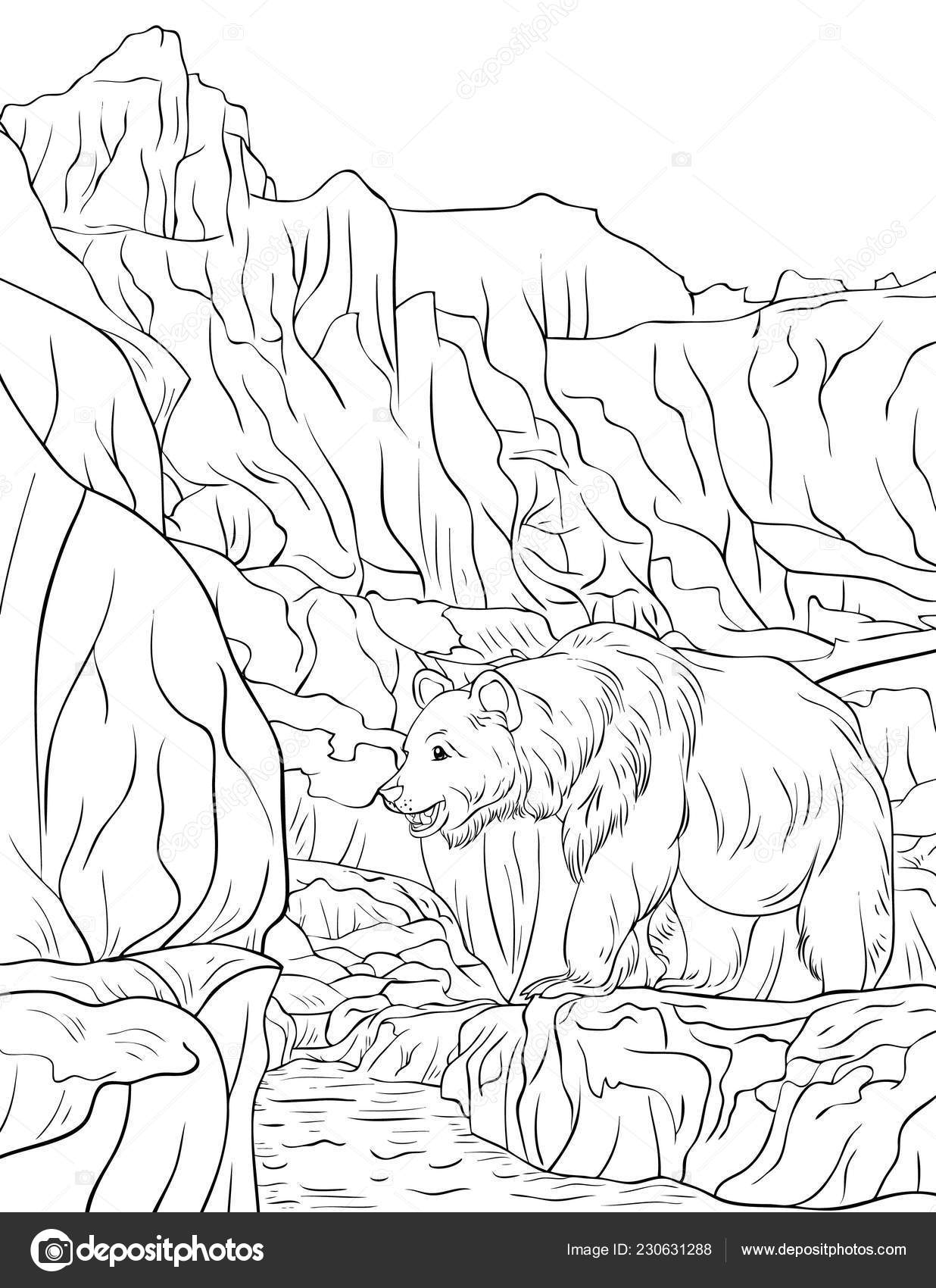 Paisaje natural con oso montaãas imagen rão para adultos ilustraciãn vector de stock por nonuzza