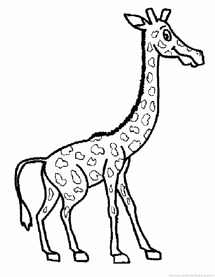 Giraffe coloring pages