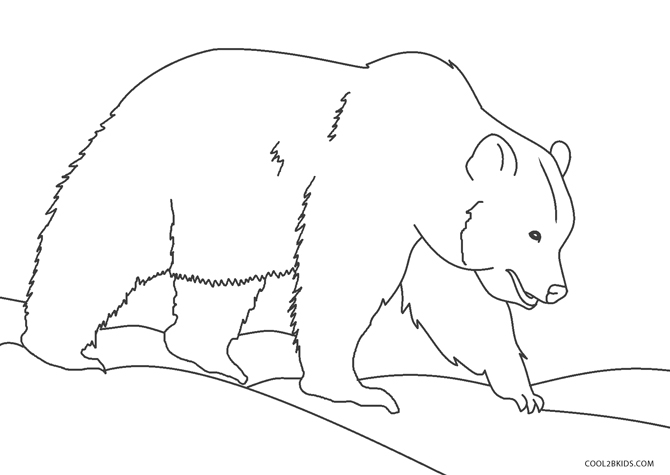 Free printable bear coloring pages for kids