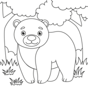 Dibujos de osos para colorear