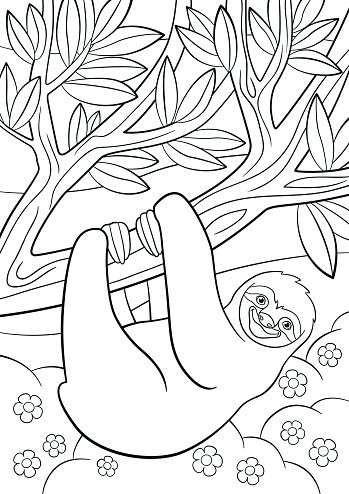 Dibujos para colorear lindo perezoso perezoso en el ãrbol clipart de stock royalty