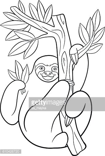 Dibujos para colorear lindo perezoso perezoso cuelga en el ãrbol clipart de stock royalty