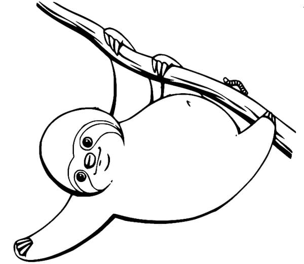 Little sloth coloring page