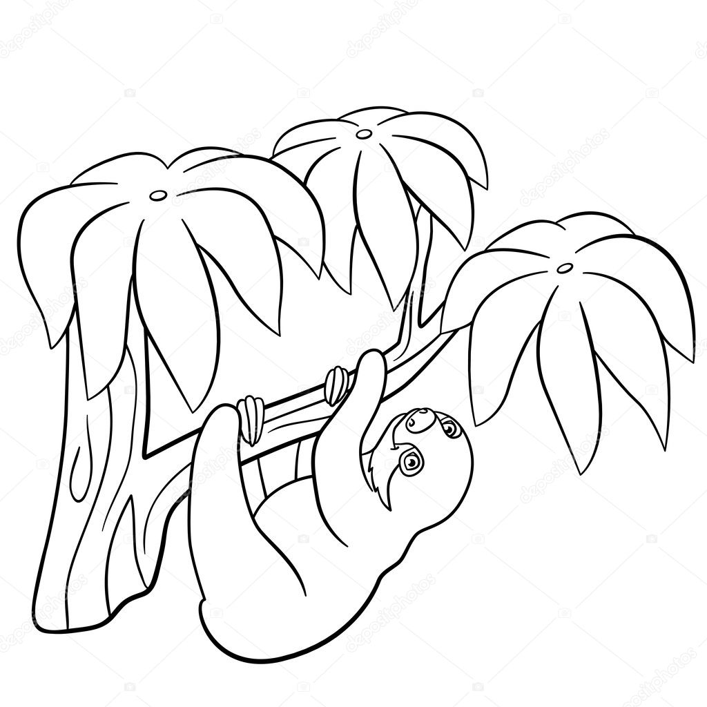 Pãginas para colorear pequeão bebã lindo perezoso vector de stock por ya