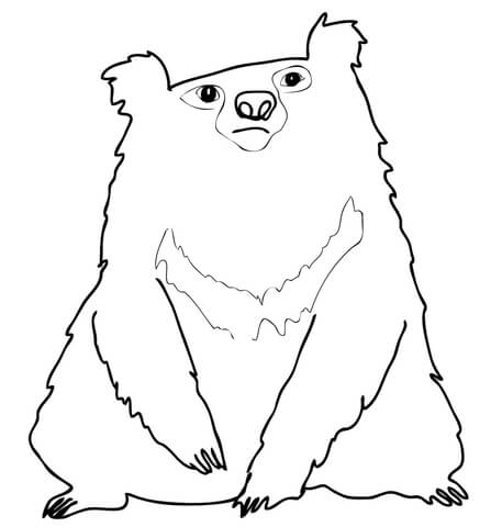 Dibujo de caricatura de un perezoso para colorear dibujos para colorear imprimir gratis