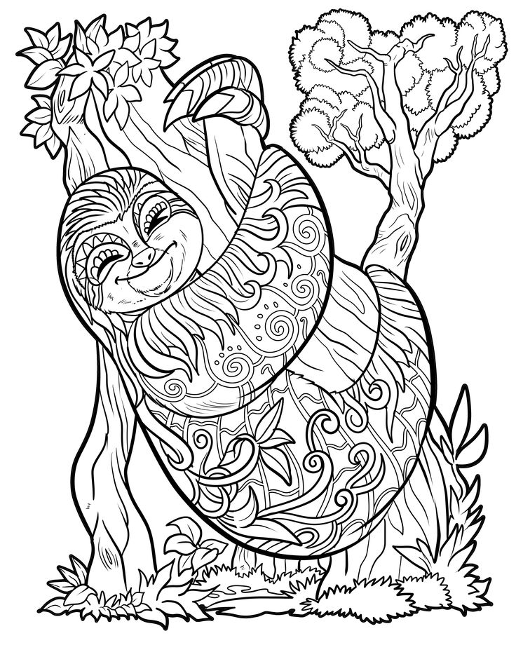 Adult coloring book pag adult coloring book pag animal coloring pag adult coloring