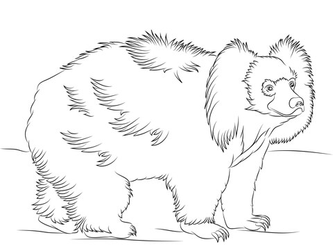 Dibujo de oso perezoso caminando para colorear dibujos para colorear imprimir gratis
