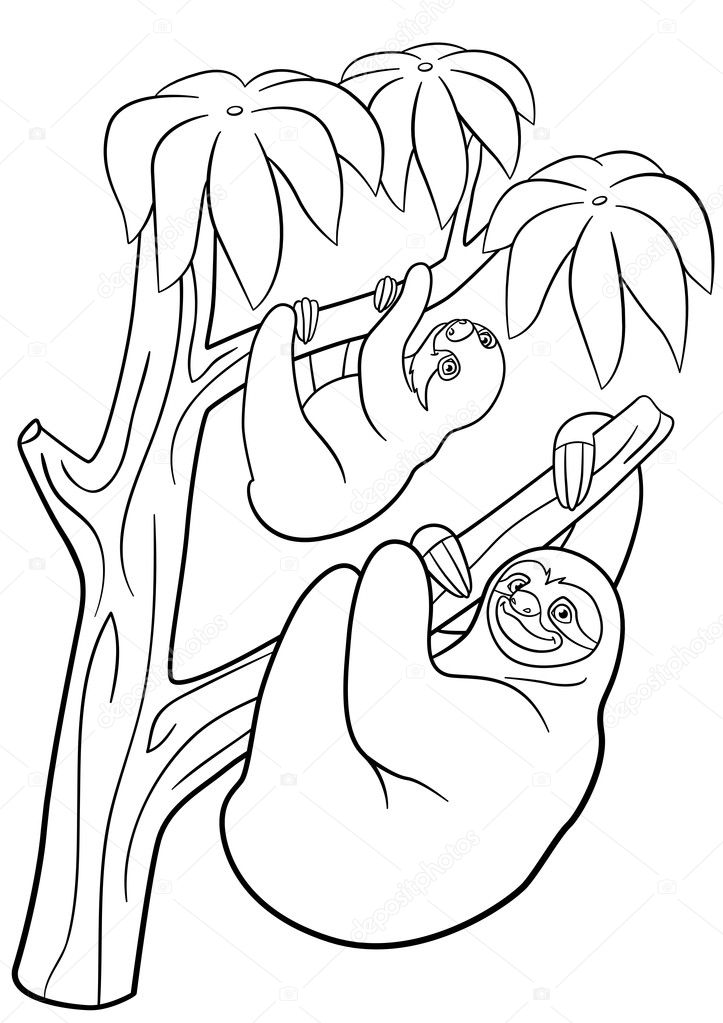 Pãginas para colorear madre pereza con su pequeão bebã lindo vector de stock de ya