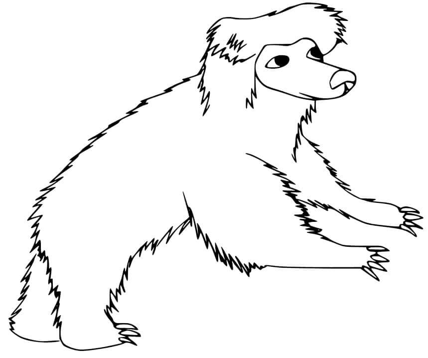 Oso perezoso para colorear imprimir e dibujar â