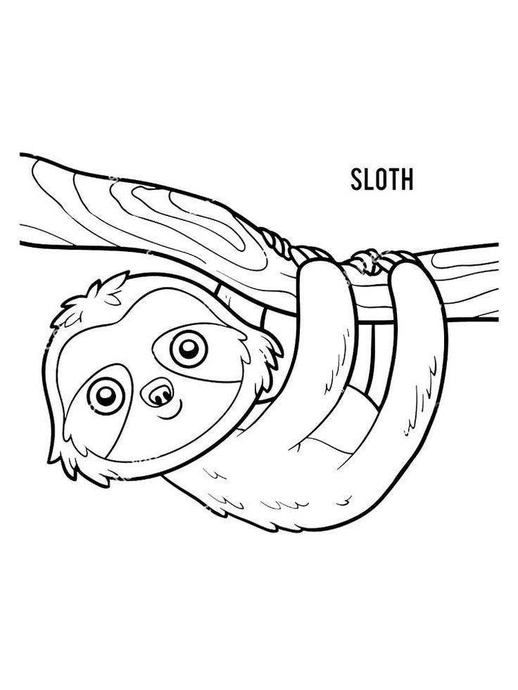 Free sloth coloring pag download and print sloth coloring pag dinosaur coloring pag coloring pag animal coloring pag