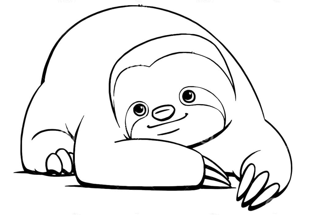 Dibujos de perezoso para colorear