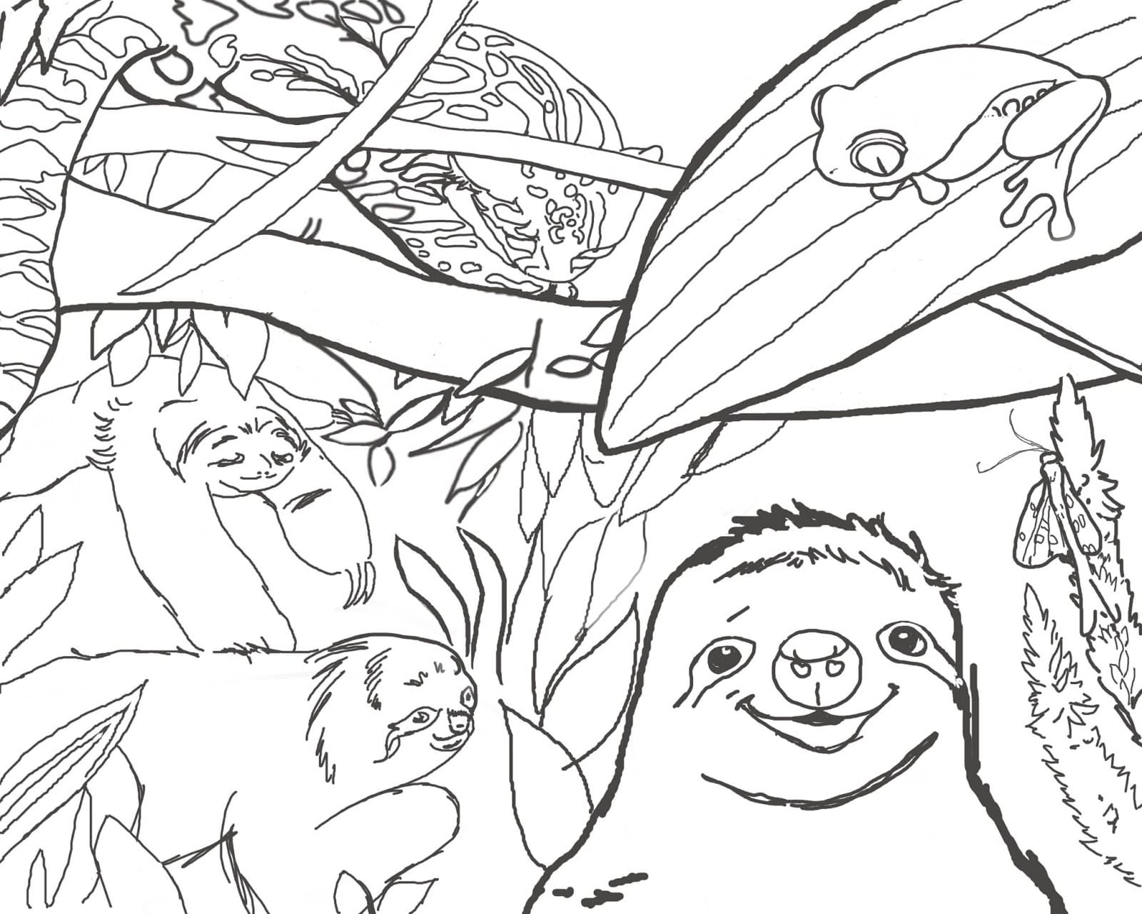 Dibujos de perezoso para colorear