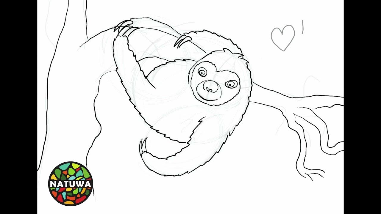 Cãmo hacer un dibujo de un perezoso fãcil