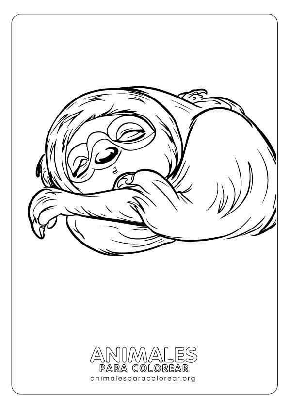 Perezosos para colorear descargar e imprimir gratis