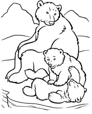 Dibujos de osos polares para colorear polar bear coloring page bear coloring pages animal coloring pages