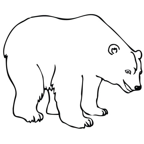 Polar bear coloring page free printable coloring pages
