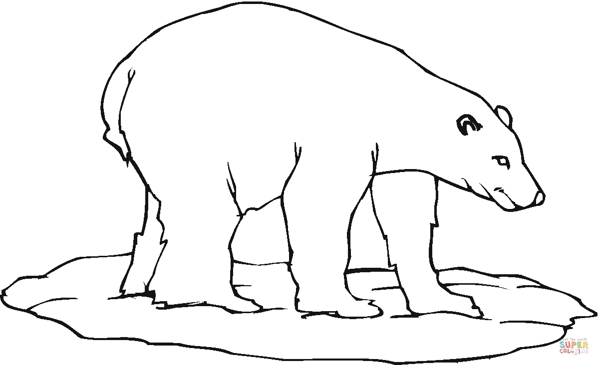 Polar bear coloring page free printable coloring pages