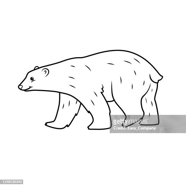 Vector illustration of polar bear isolated on white background for kids coloring book high