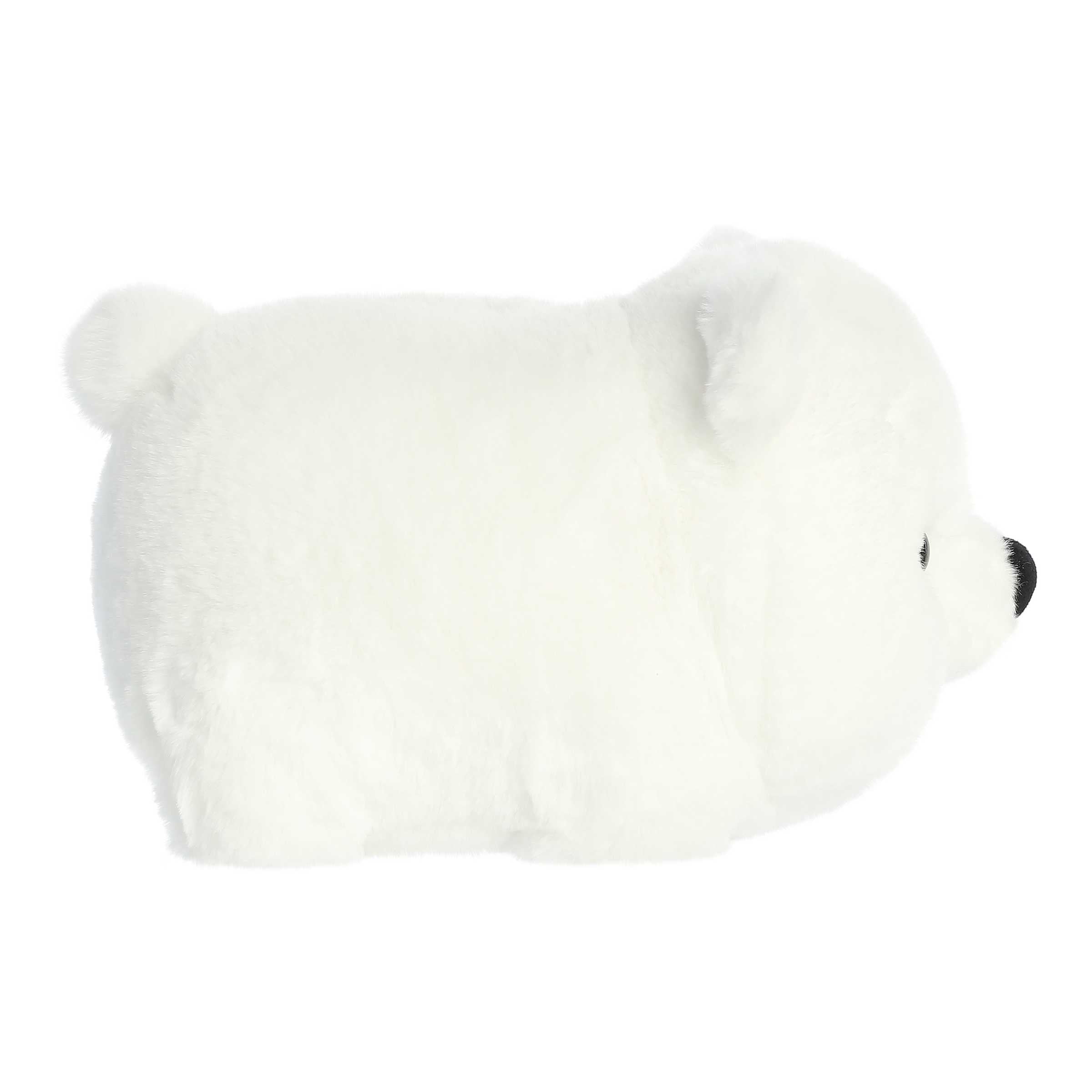 Penni polar bear