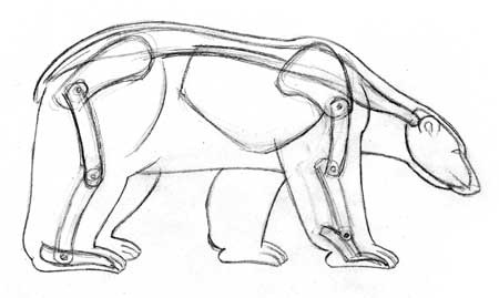 Drawing polar bears dessiner la vie