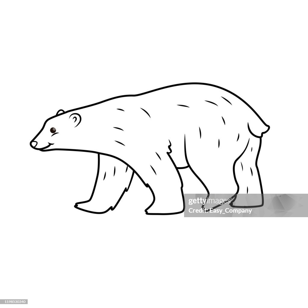 Vector illustration of polar bear isolated on white background for kids coloring book high