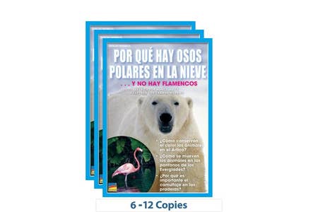 Por quã hay osos polares en la nieve y no hay flamencos