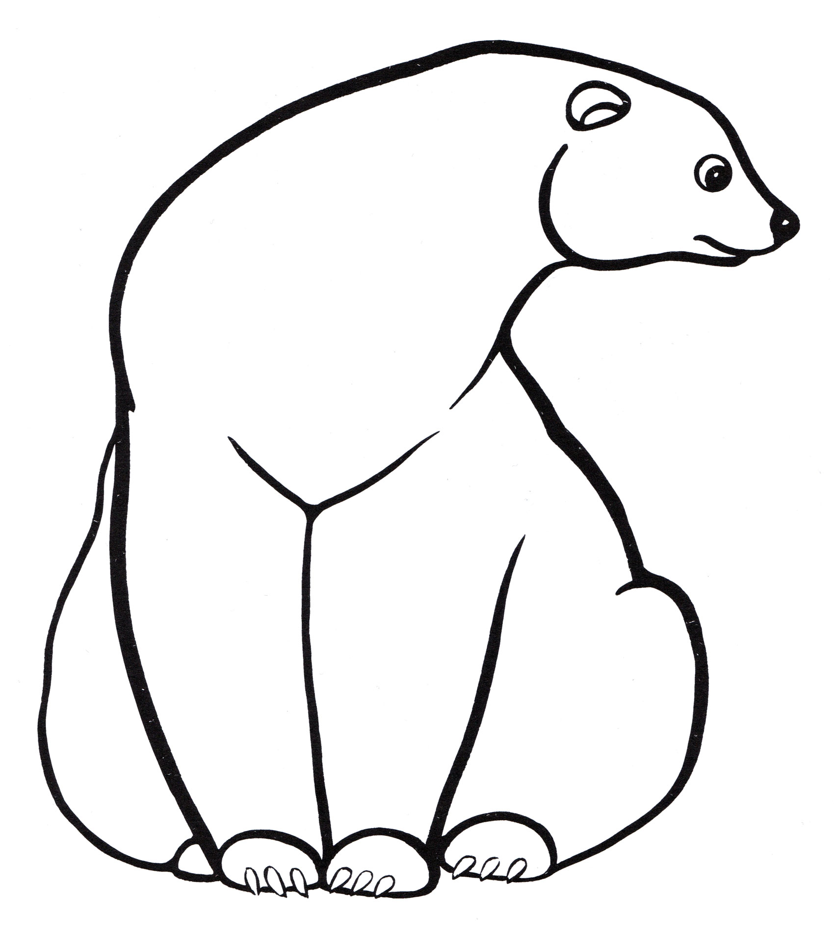 Polar bear coloring pages