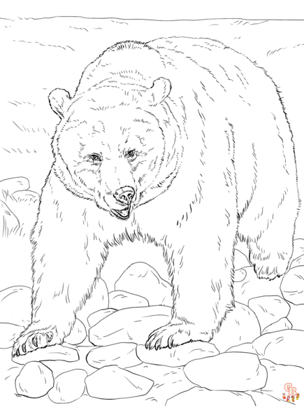 Explore the wild with free printable bear coloring pages