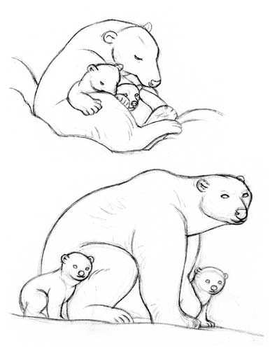 Drawing polar bears dessiner la vie