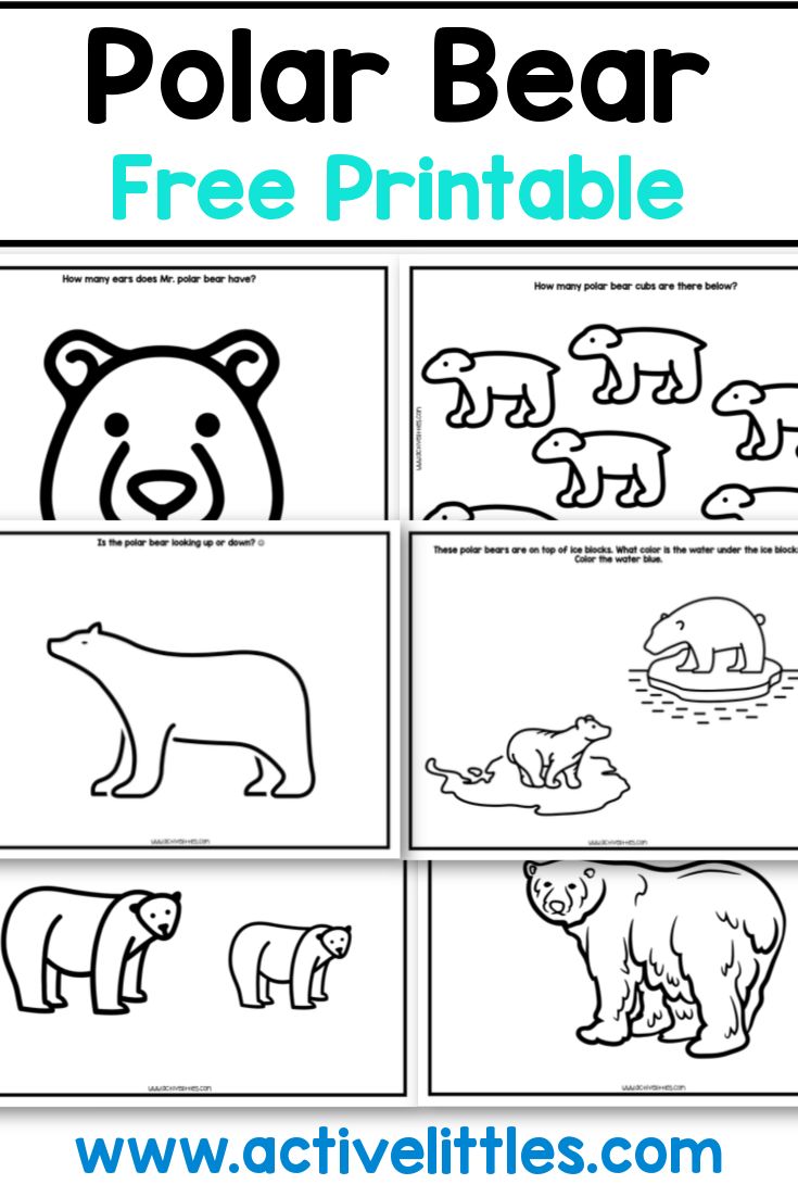 Polar bear free preschool printable in polar bear polar bear facts free printable coloring sheets