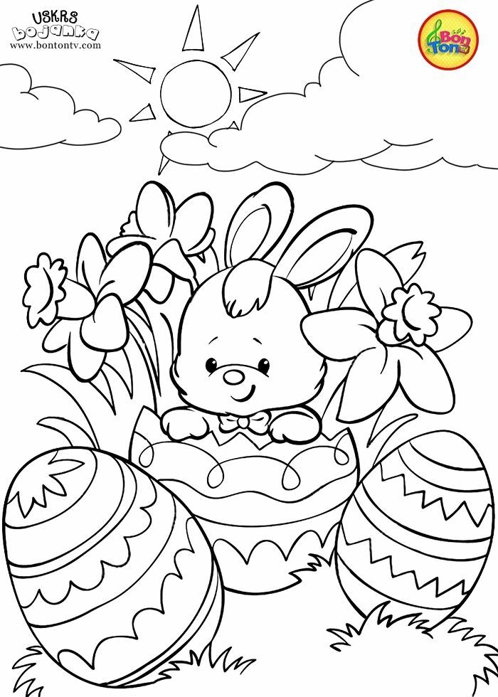 Kleiner osterhase in einem osterei blumen blãtter zum ausmalen bilr easter coloring book bunny coloring pages easter coloring sheets