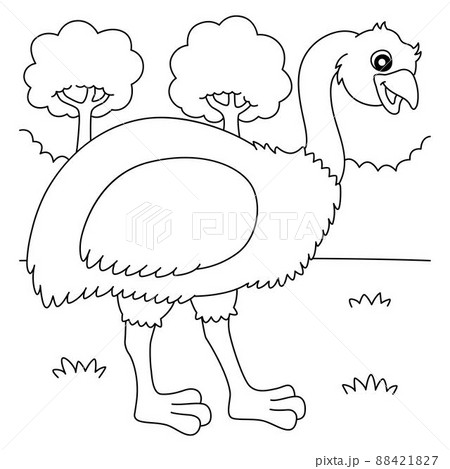 Emu animal coloring page for kids