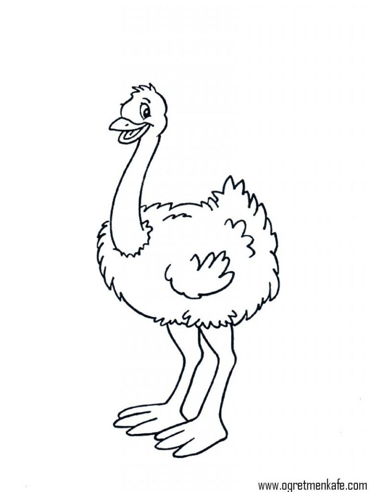 Ostrich coloring pages for kids free kids coloring pages coloring books coloring pages for kids