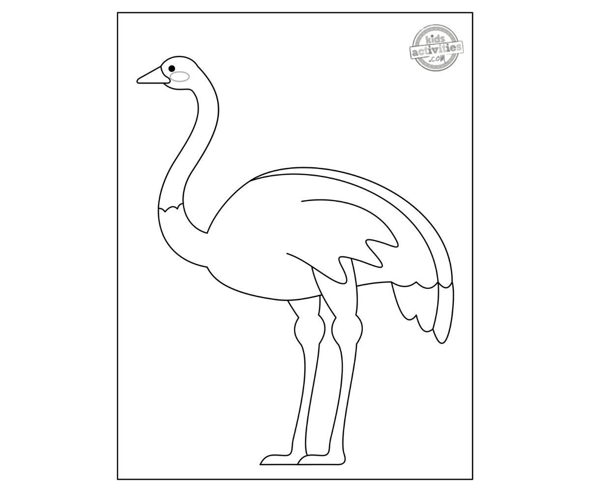 Excellent emu coloring page for kids kids activities blog