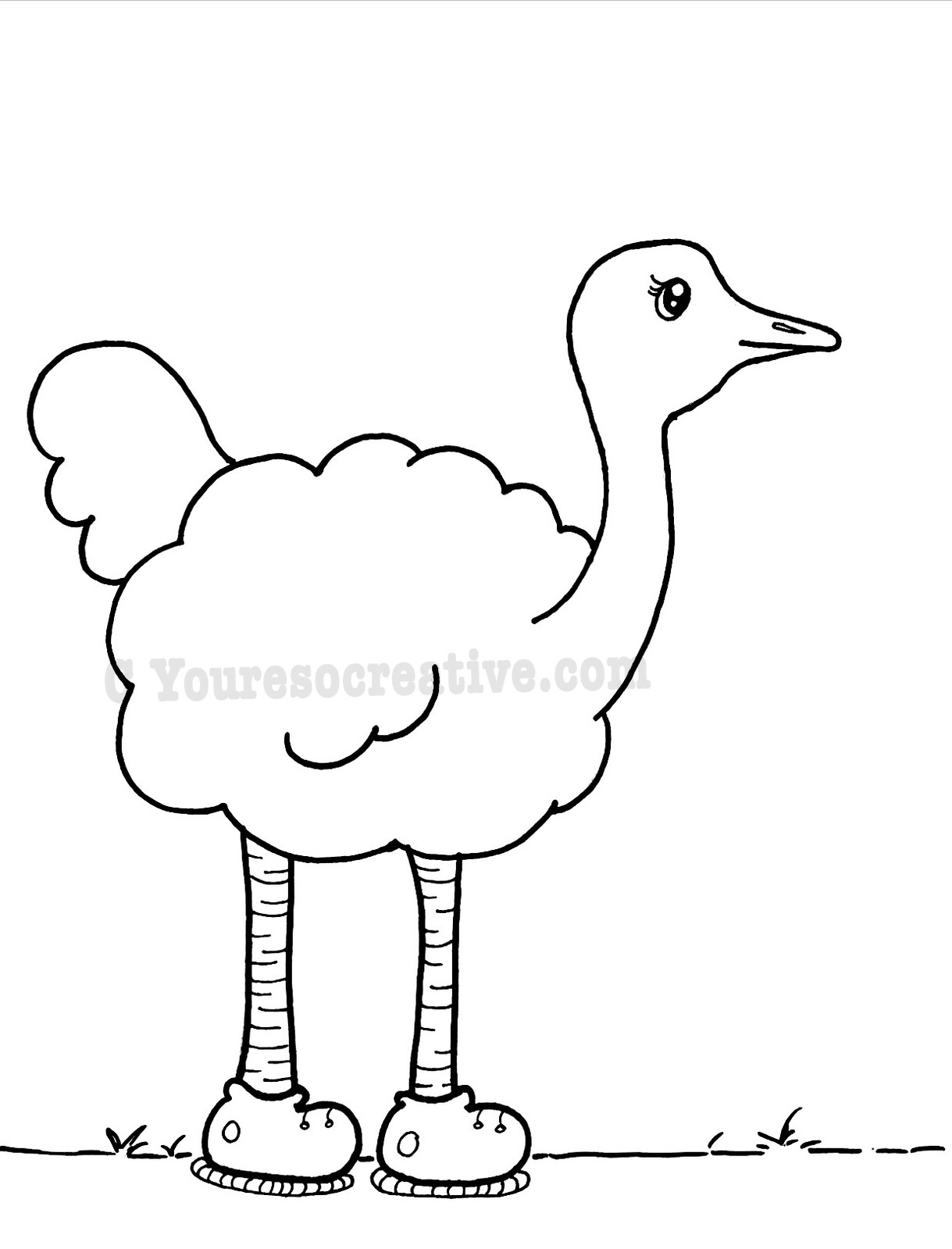 Ostrich