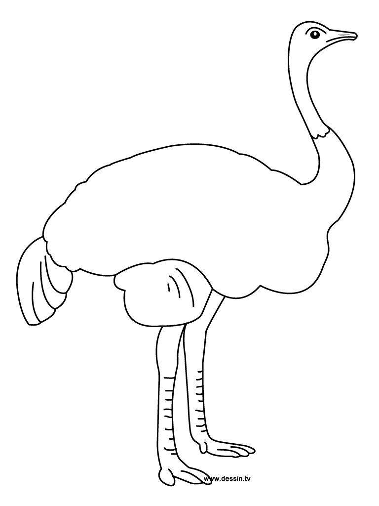 Free printable ostrich coloring pages for kids
