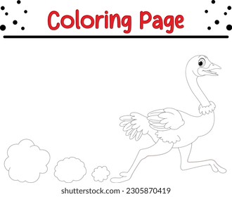 Ostrich coloring page images stock photos d objects vectors