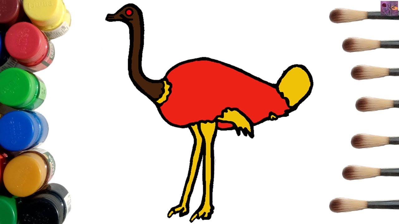 Ostrich coloring pages how to draw an ostrich step by step ostrich coloring for kids
