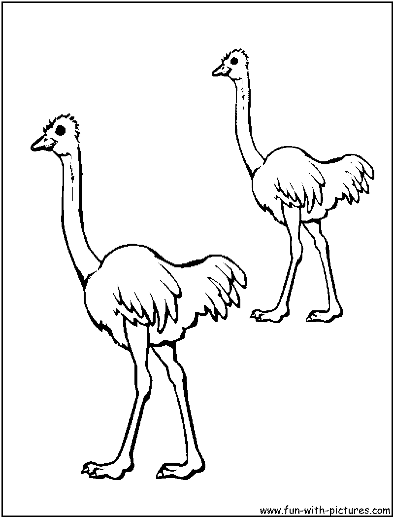 Australian animals coloring pages