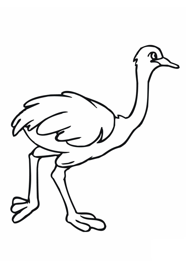 Coloring pages cute baby ostrich coloring pages for kids