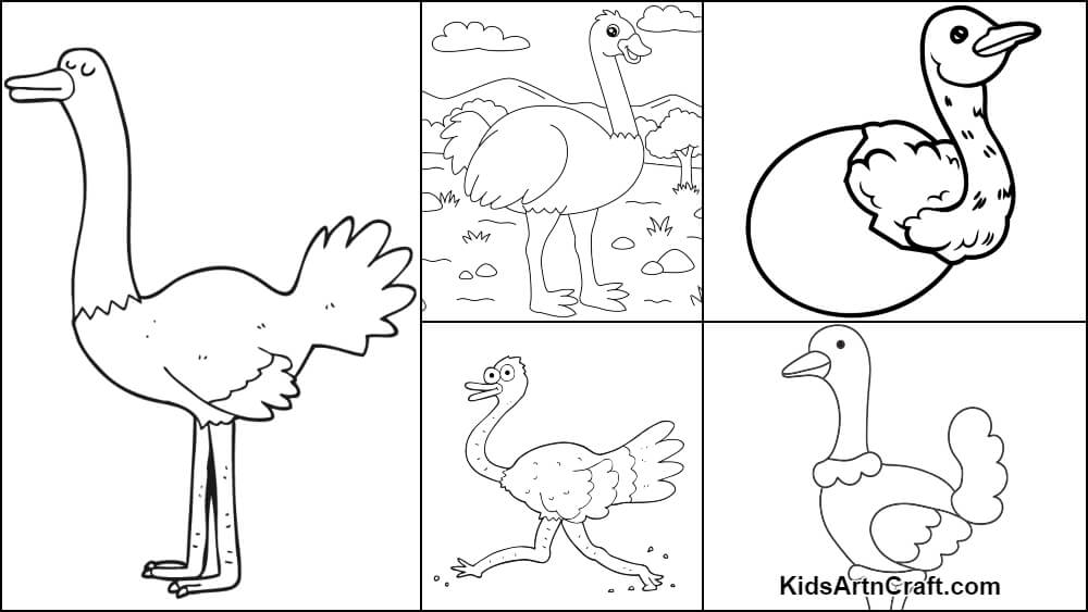 Ostrich coloring pages for kids â free printables