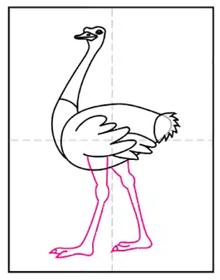 Easy how to draw an ostrich tutorial and ostrich coloring page