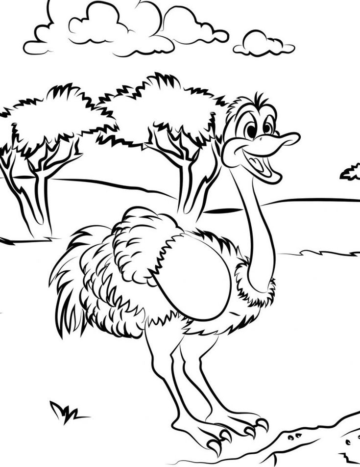 Free printable ostrich coloring pages for kids coloring pages coloring pages for kids toddler coloring book